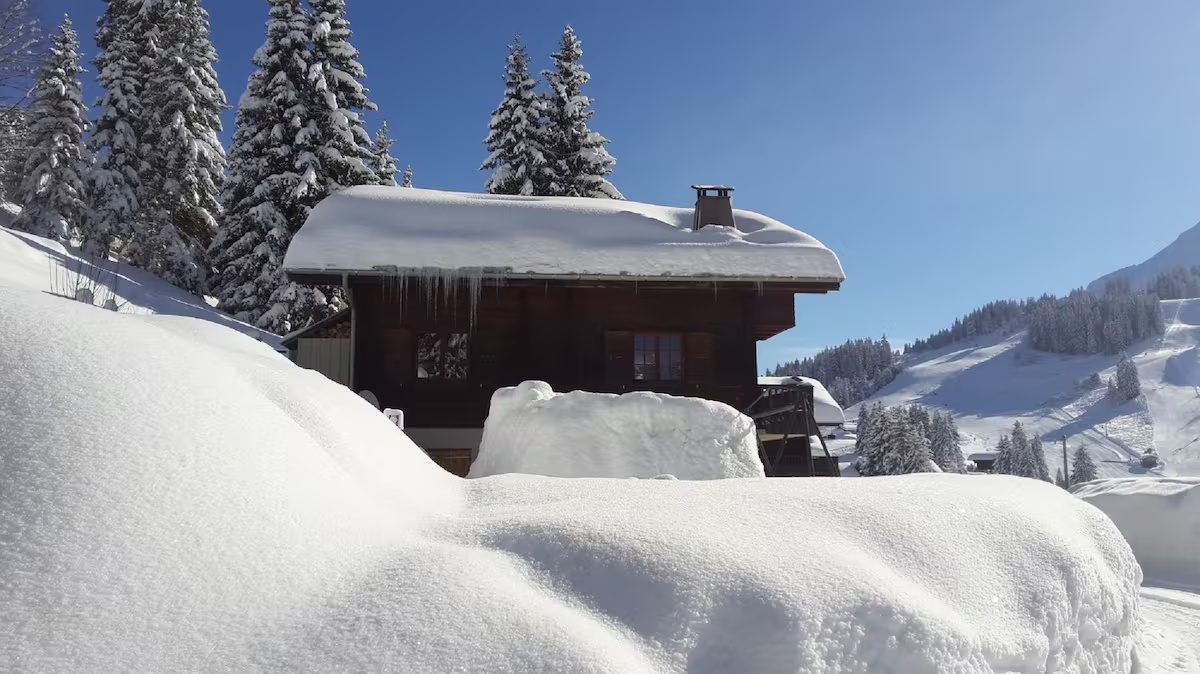 Le jardin sous son manteau de neige