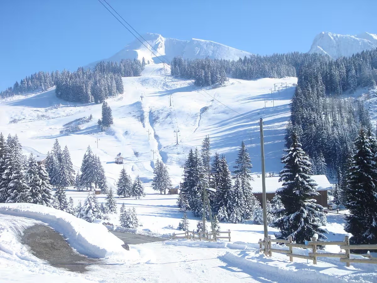 Le panorama enneigé autour du chalet