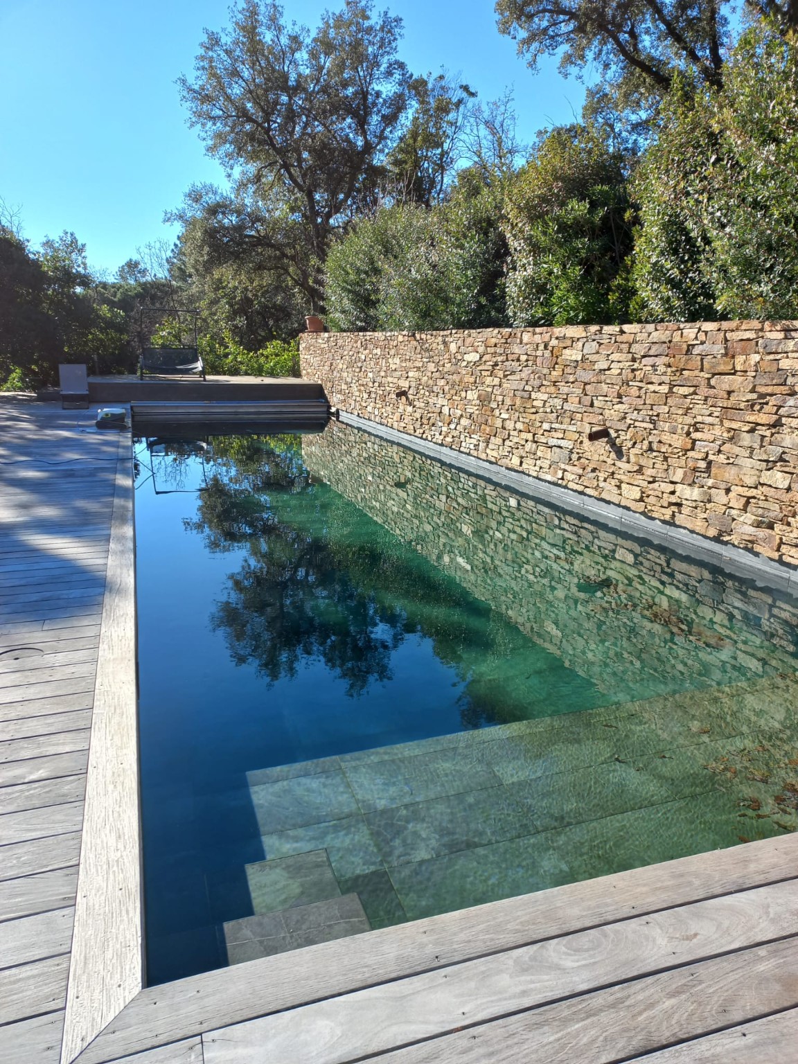 Le jardin et son bassin